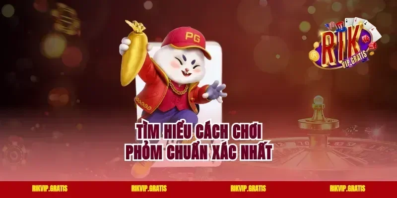 Tìm hiểu cách chơi Phỏm chuẩn xác nhất