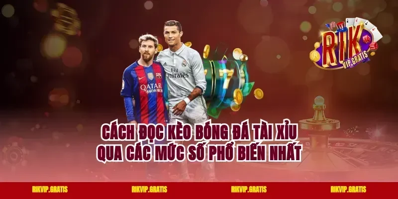 Cách Đọc Kèo Bóng Đá Tài Xỉu Qua Các Mức Số Phổ Biến Nhất