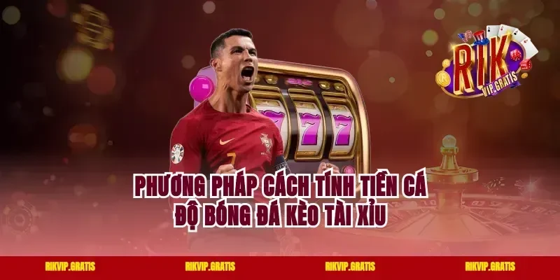 Phương pháp cách tính tiền cá độ bóng đá kèo tài xỉu