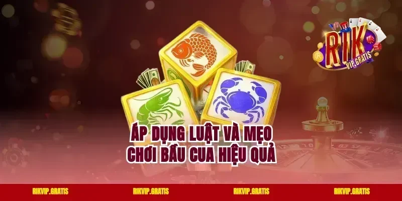 Áp dụng luật và mẹo chơi bầu cua hiệu quả