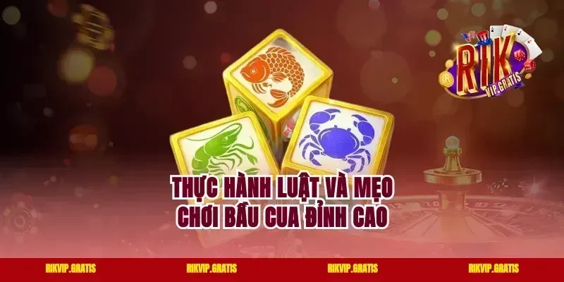 Thực hành luật và mẹo chơi bầu cua đỉnh cao