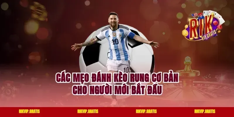 Các mẹo đánh kèo rung cơ bản cho người mới bắt đầu