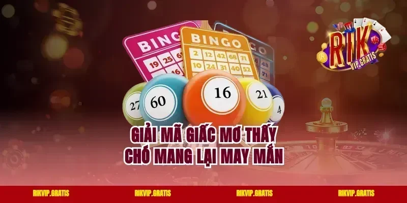 Giải mã giấc mơ thấy chó mang lại may mắn