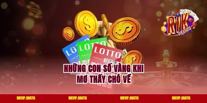 Những con số vàng khi mơ thấy chó về