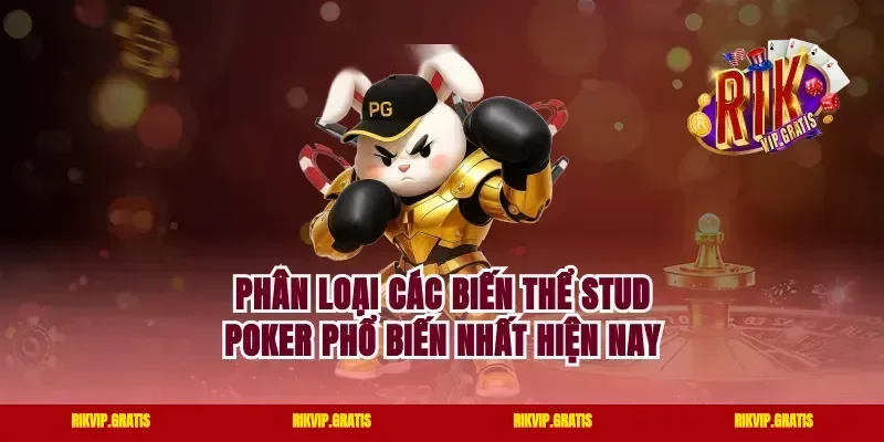 Phân Loại Các Biến Thể Stud Poker Phổ Biến Nhất Hiện Nay