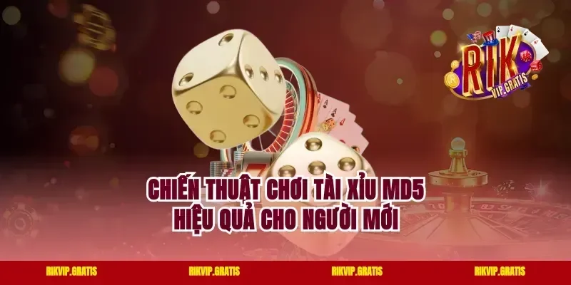 Chiến Thuật Chơi Tài Xỉu MD5 Hiệu Quả Cho Người Mới